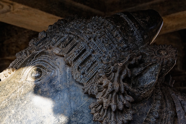 Halebid-Temple de Vishnou-011